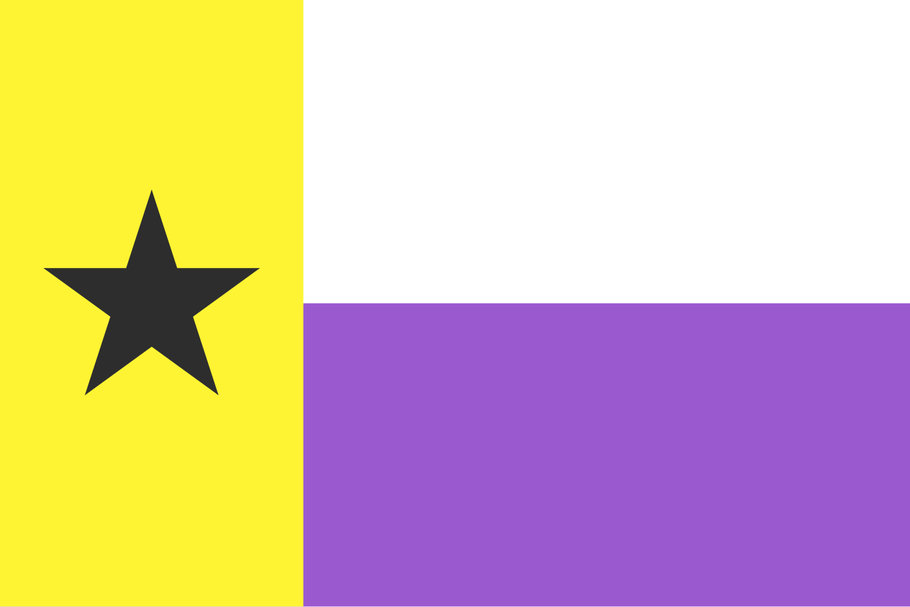 Nonbinary Texas flag.svg