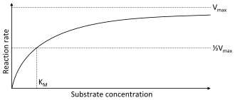 A two-dimensional plot of substrate concentration (x axis) vs. reaction rate (y axis). The shape of the curve is hyperbolic. The rate of the reaction is zero at zero concentration of substrate, and the rate asymptotically reaches a maximum at high substrate concentration.