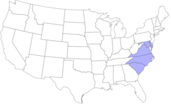 Location of teams in