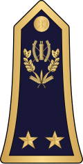 Général de brigade (Burkina Faso Ground Forces)[16]