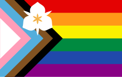 The Sego Belonging Flag, based on the Progress Pride Flag
