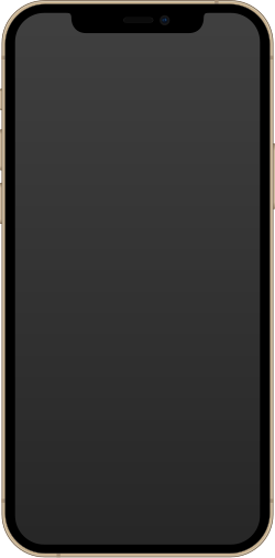 iPhone 12 Pro watermark