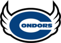 Condors CDMX logo