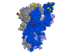 Spike protein with mutations highlighted, looking at the side of the protein