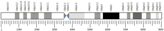 Chromosome 16 (human)