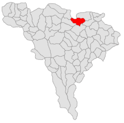 Location within Alba County
