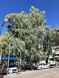 In Patra, Greece.