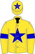 Yellow, blue star and armlets, star on cap