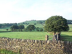Baildon Moor