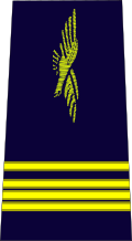 French Air and Space Force commandant