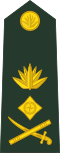 Lieutenant general লেফটেন্যান্ট জেনারেল[8] (Bangladesh Army)