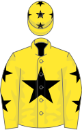 Yellow, black star, black stars on sleeves, yellow cap, black stars