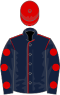 Dark blue, red seams, dark blue sleeves, red spots, red cap