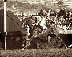 Peter Pan, 1935 winner