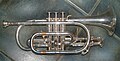 Cornet