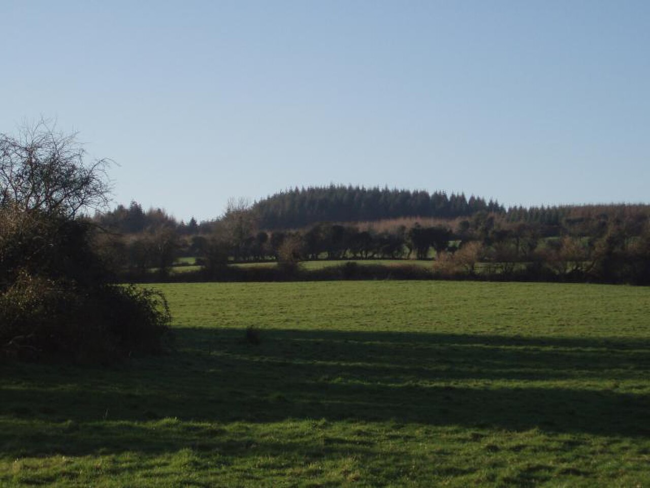 Ranaghan hills.JPG