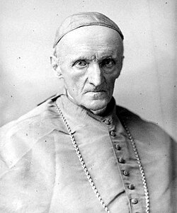 Cardinal Henry Edward Manning
