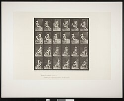 Original collotype