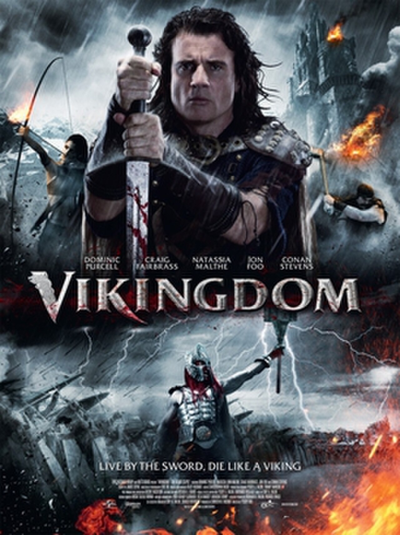 Vikingdom poster.jpg