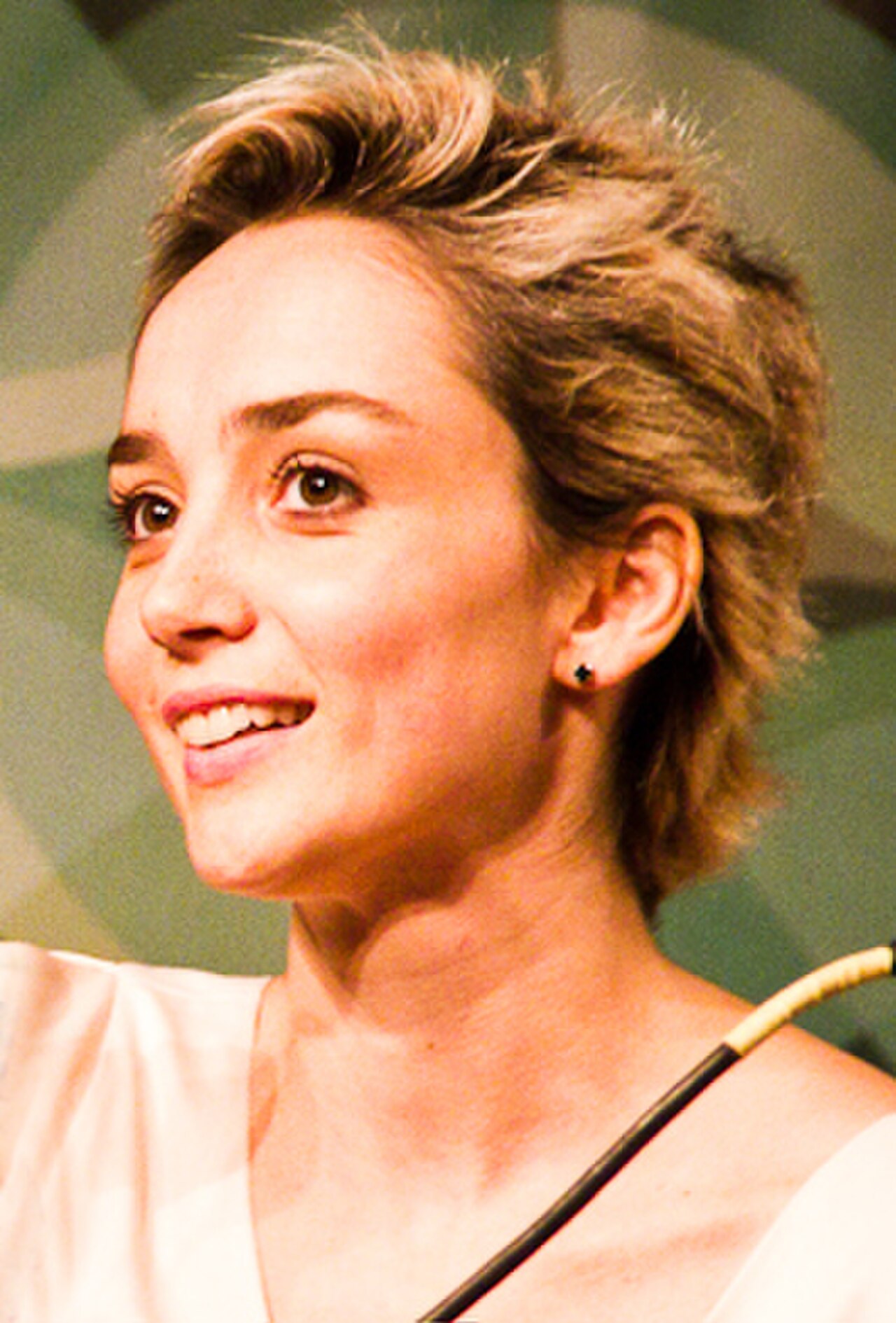 16ª Mostra de Cinema de Tiradentes (8394473805) (cropped).jpg