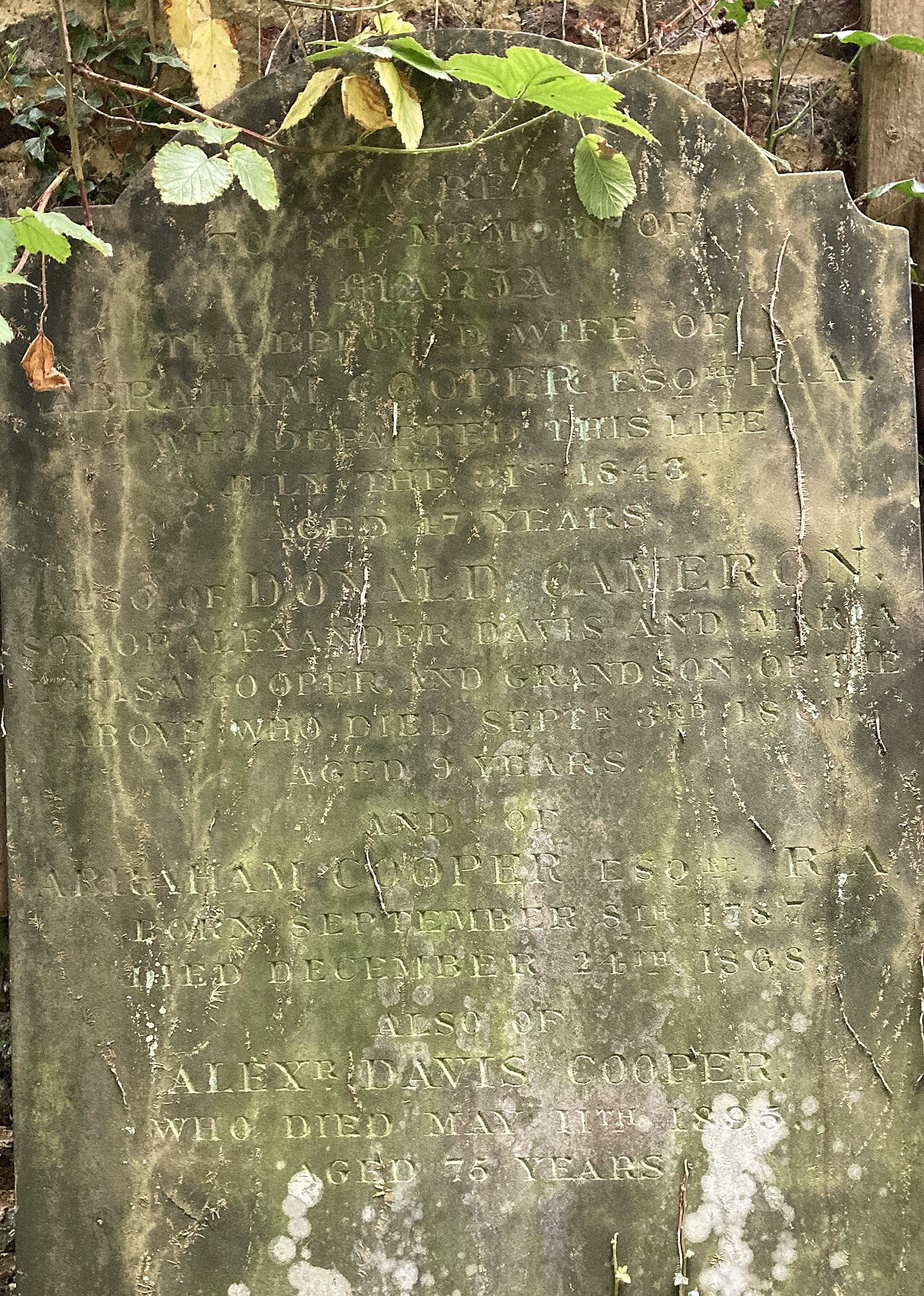 Family grave of Abraham Cooper in Highgate Cemetery.jpg