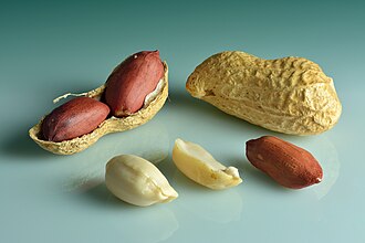 Fruits (pods) and seeds
