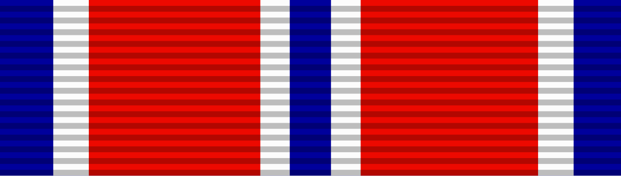 Organizational Excellence ribbon.svg