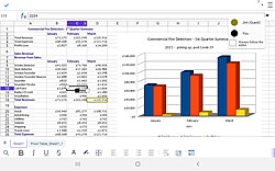 Web browser accessing Collabora Online Calc 6.4.9 on Android 8" tablet