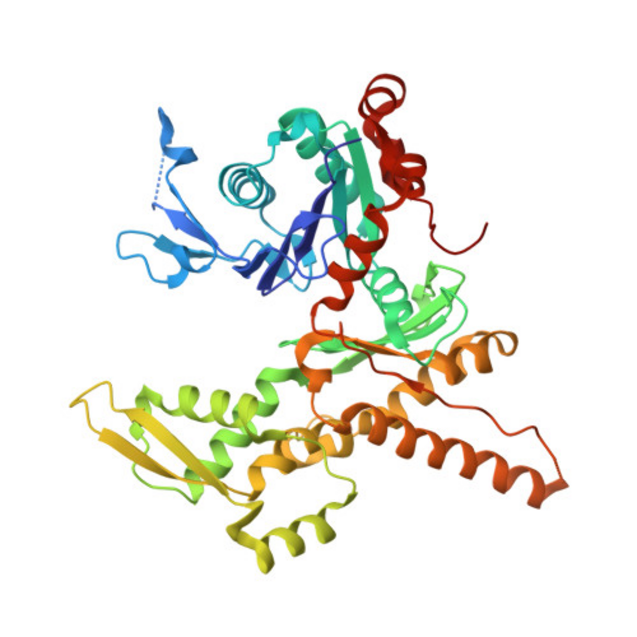 Protein ACTR3 PDB 1k8k.png