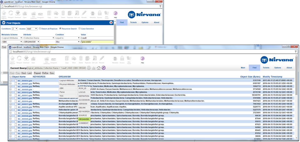 Nirvana Web Browser Graphical User Interface