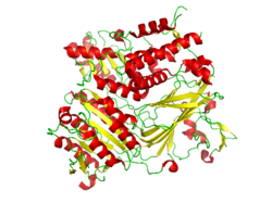 Conformation of the CopII protein that is complexed with the snare protein Sed5 (PDB: 1PD0).