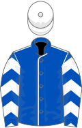 Royal blue, white seams, chevrons on sleeves, white cap