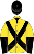 Yellow, black cross belts, halved sleeves, black cap
