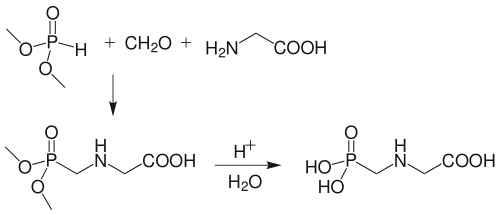 Glyphosate synthesis from dimethyl phosphite