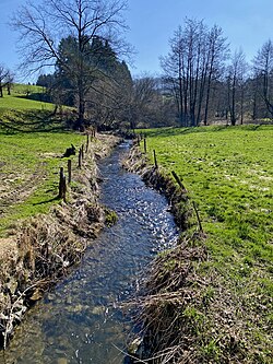 Gaulbach near Niedergaul.