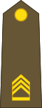 Adjudant (Luxembourg Army)[18]