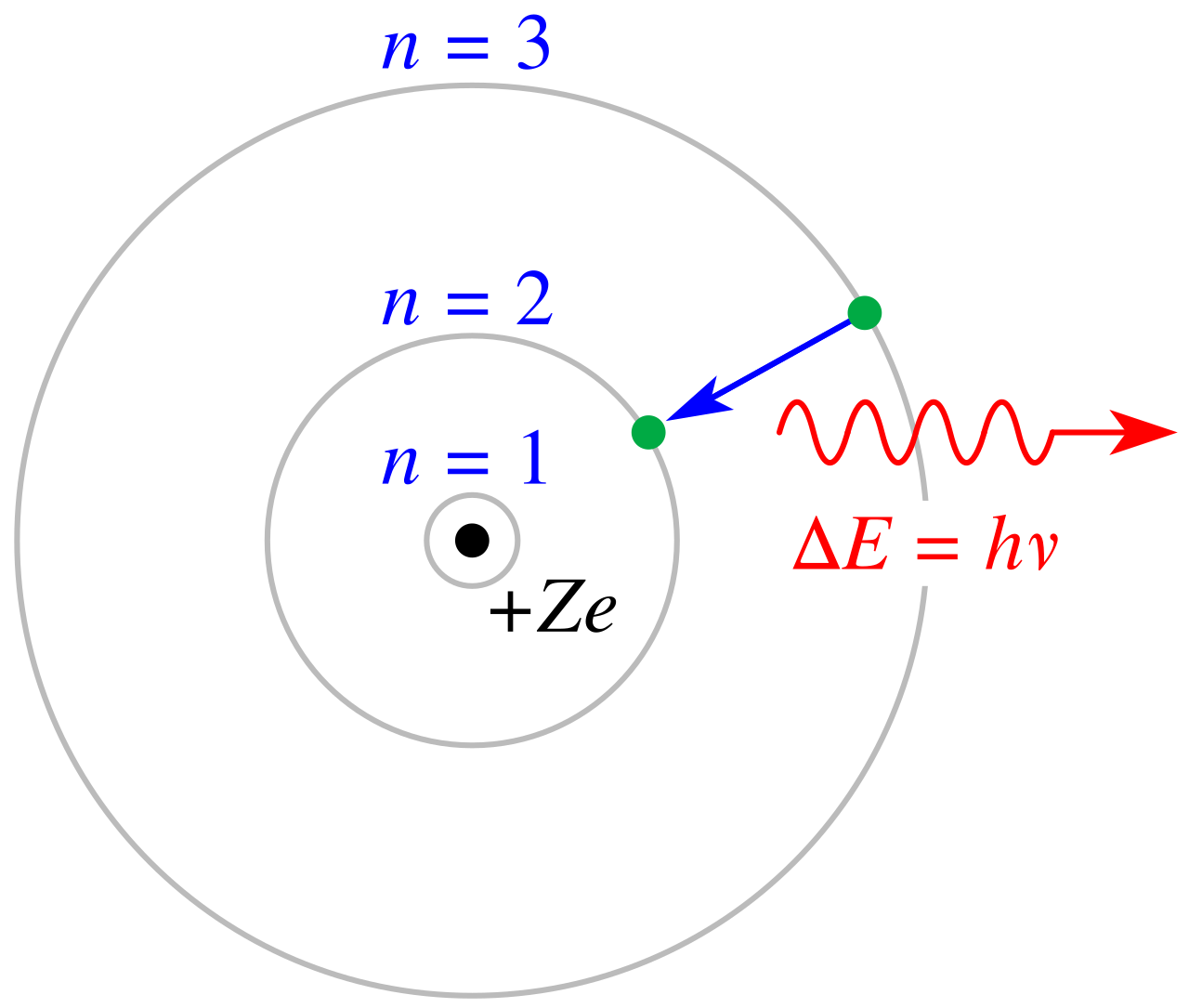 Bohr atom model.svg