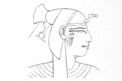 Drawing of Sitre, from her Theban tomb QV38.