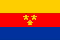 Flag of Arenberg