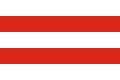 Flag of Salonta