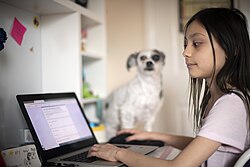a girl uses a laptop, a dog is in the background