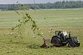 Artificially grazed meadow