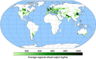 Wheat-growing areas of the world