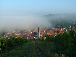 Randersacker on a foggy summer morning