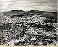Safad 1937