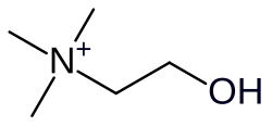 Choline cation skeletal formula