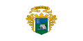 Flag of Molnári