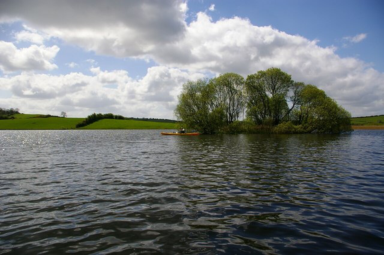 Island in Lough Ross - geograph.org.uk - 1282558.jpg