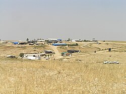 Al-Araqeeb, 2010