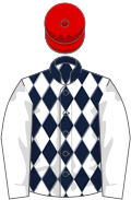 Dark blue and white diamonds, white sleeves, red cap